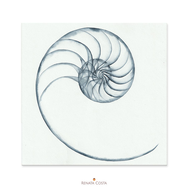 Impressão Fine Art - Proporção