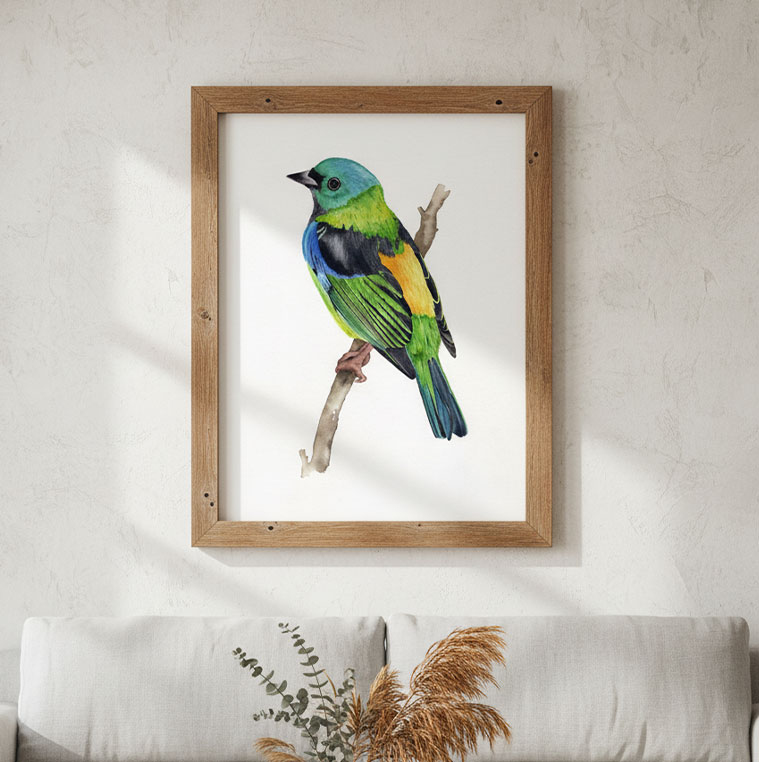 Impressão Fine Art - Saira Sete Cores - Imagem 2